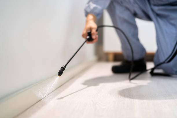 Licensed Mosquito Control service in Lake Mary Jane, FL - Show Me Pest Control