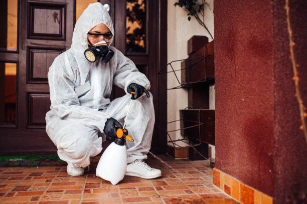 Reliable Mosquito Control contractor in Lake Mary Jane, FL by Show Me Pest Control